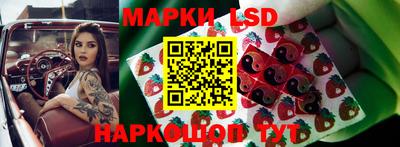 шишки Бузулук