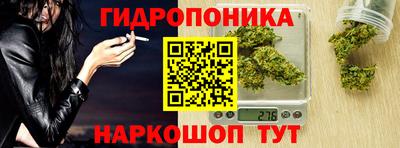 шишки Бузулук